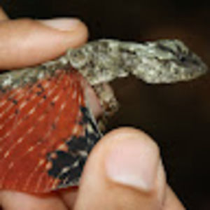 Meet your Posher, Kevin